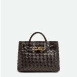 BOTTEGA VENETA Small Andiamo